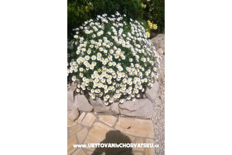 Appartements Štefanija – foto 11