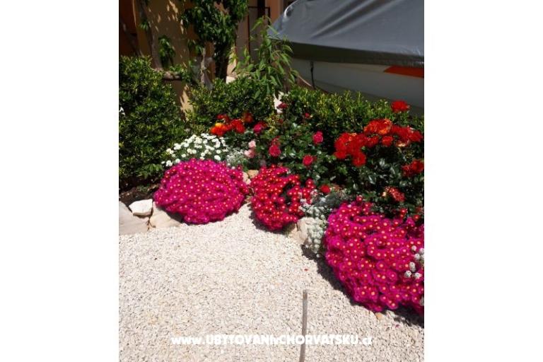 Appartements Štefanija – foto 14