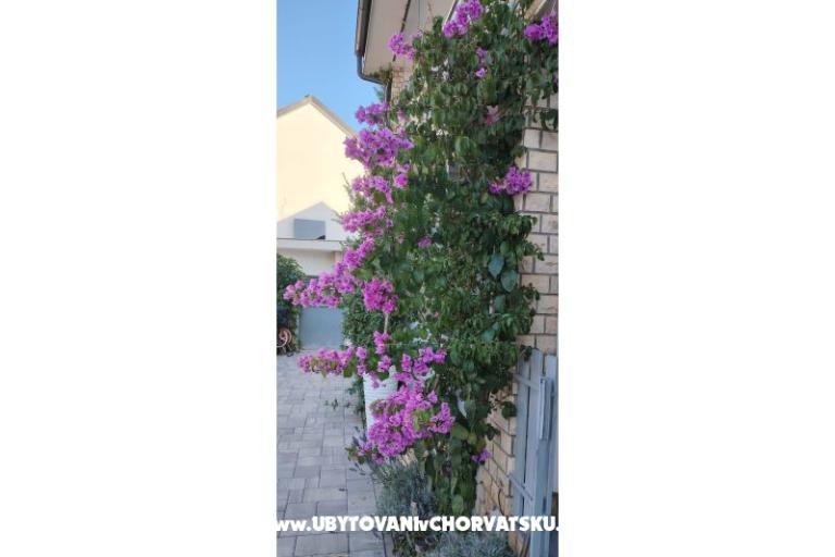 Appartements Sunce – foto 35