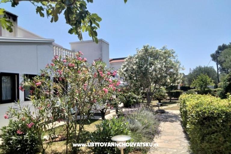 Appartements Budija / Lavanda – foto 2