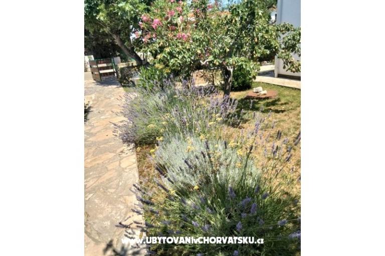Appartements Budija / Lavanda – foto 4