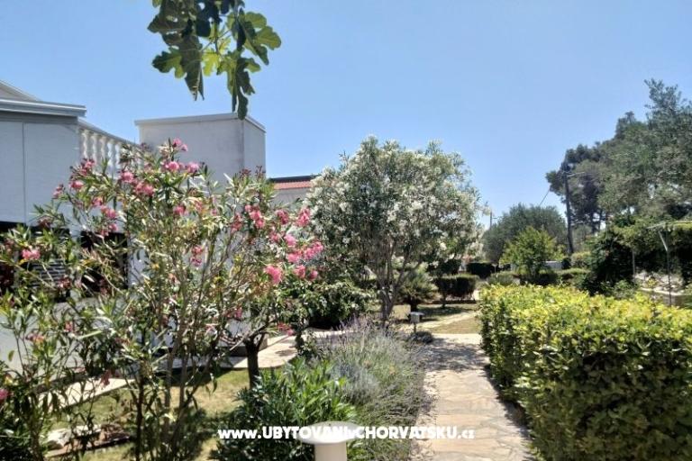 Appartements Budija / Lavanda – foto 6