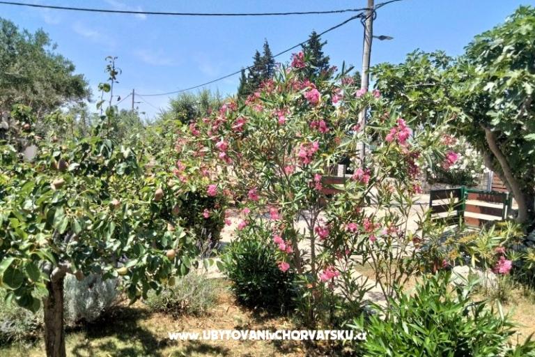 Appartements Budija / Lavanda – foto 8