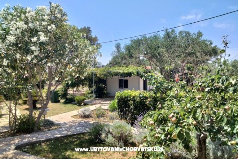 Appartements Budija / Lavanda – foto 9