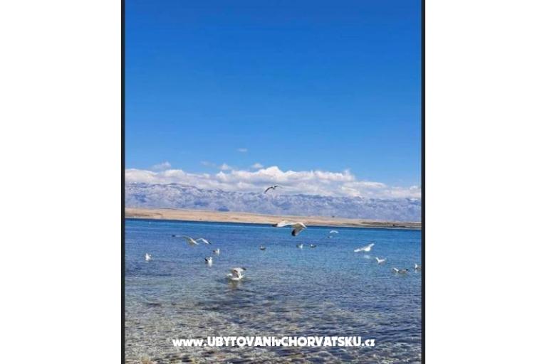 Appartements Ewa – foto 27