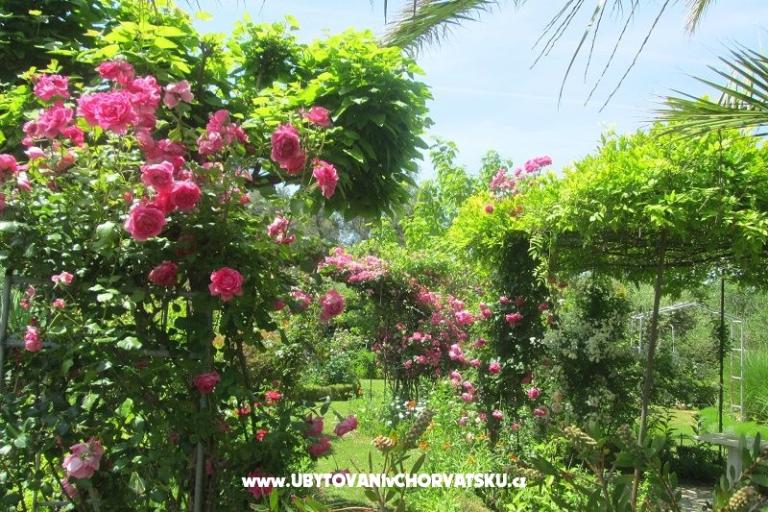 Appartements Pavlica – foto 11