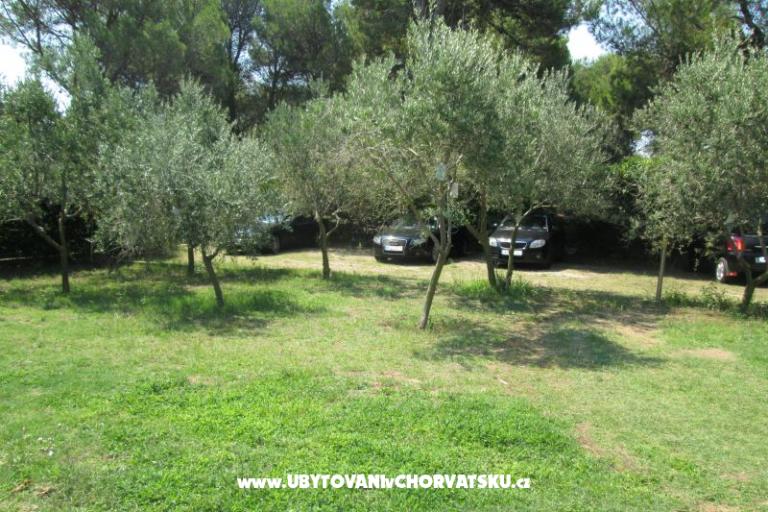Appartements Pavlica – foto 8