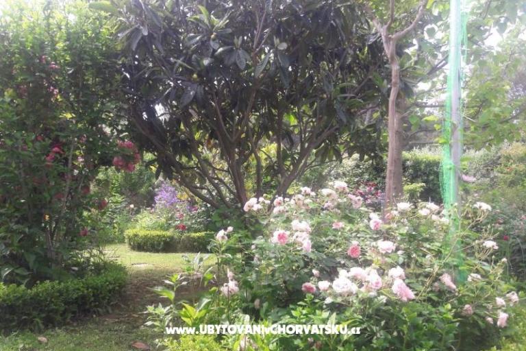 Appartements Pavlica – foto 9