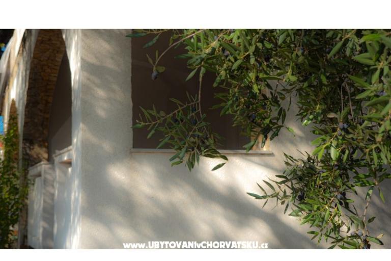 Appartements Podlesek – foto 15