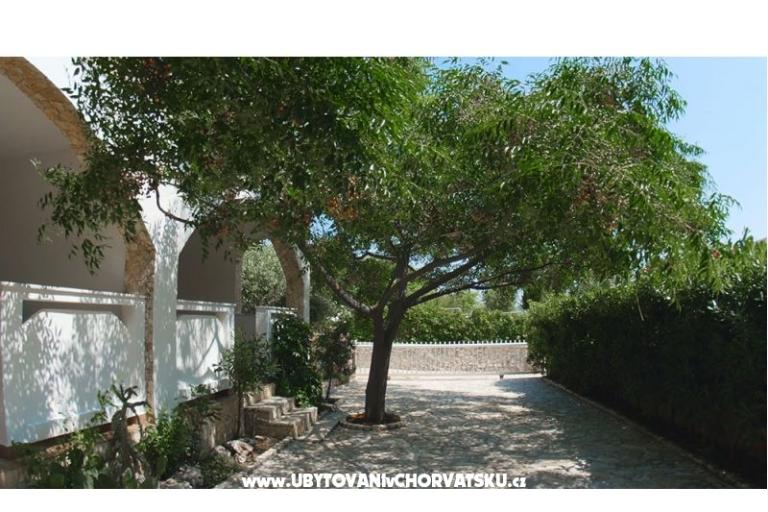 Appartements Podlesek – foto 5