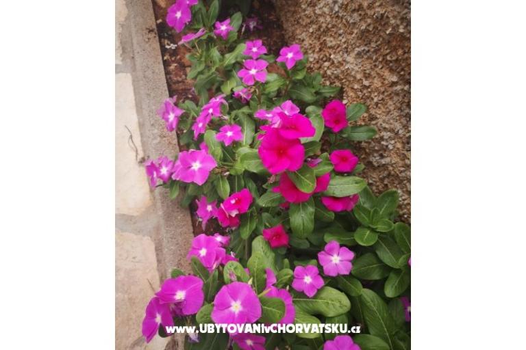 Appartements Vlašić – foto 9