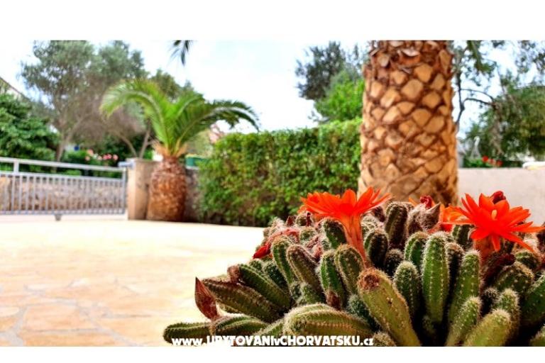 Happy Pineapple Appartements Vir – foto 6