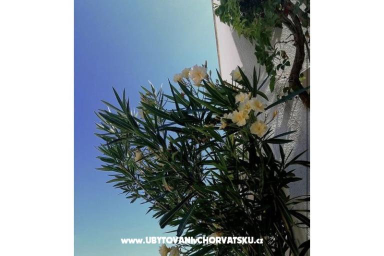 Ivo Nedić Appartements – foto 12