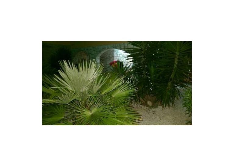 Maison de vacances Venus – foto 11
