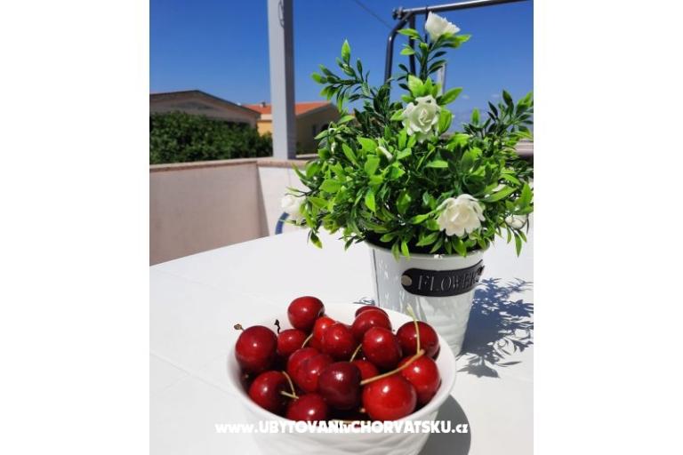 Nedić Appartements – foto 8