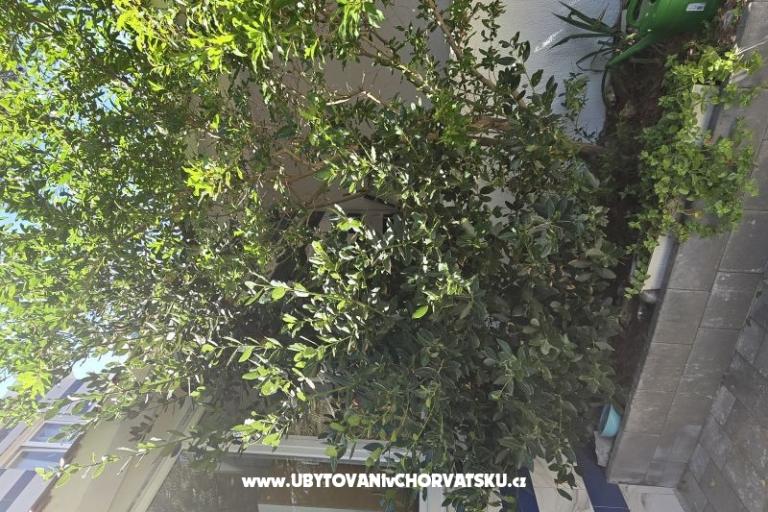 Sunset Paradise Appartements Vir – foto 57
