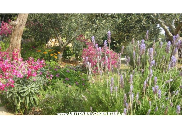 Appartements Goga – foto 9