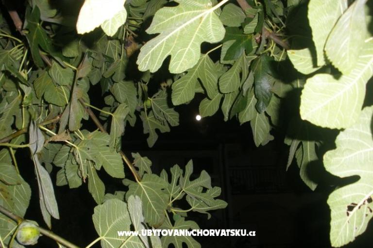 Appartements  Smokva   – foto 4
