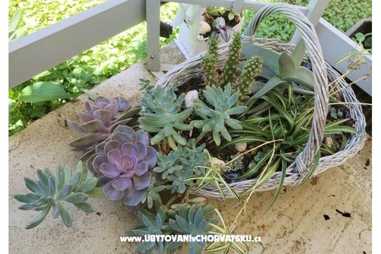 Appartements NIKA – foto 15