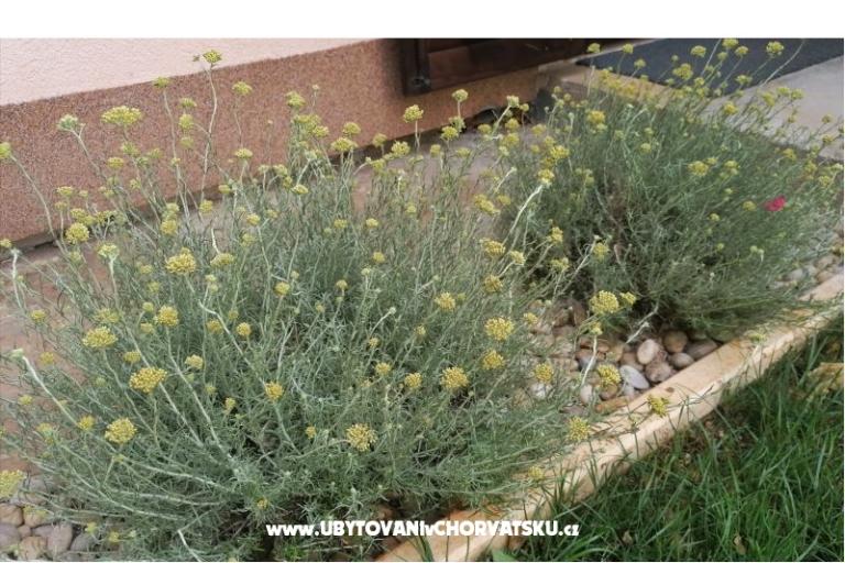 Appartements NIKA – foto 18