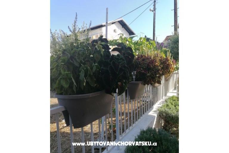 Appartements NIKA – foto 8