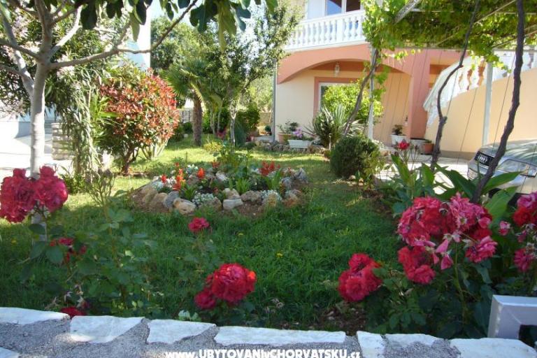 Appartements Ćosić  – foto 3