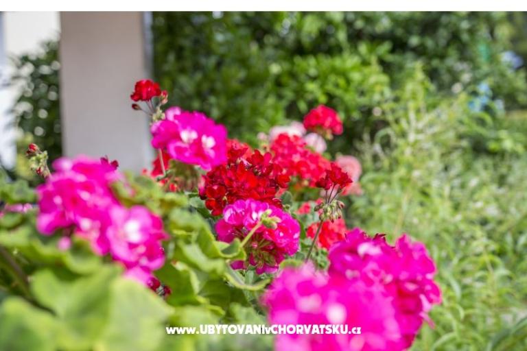 Appartements Ines – foto 3