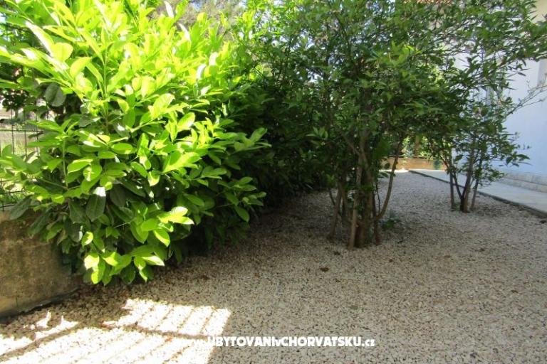 Appartements Kokor – foto 11