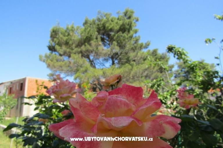 Appartements Kokor – foto 14