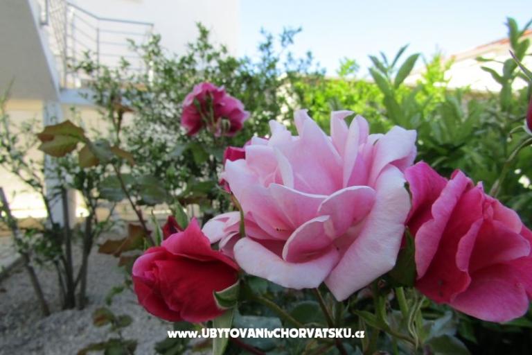 Appartements Kokor – foto 4