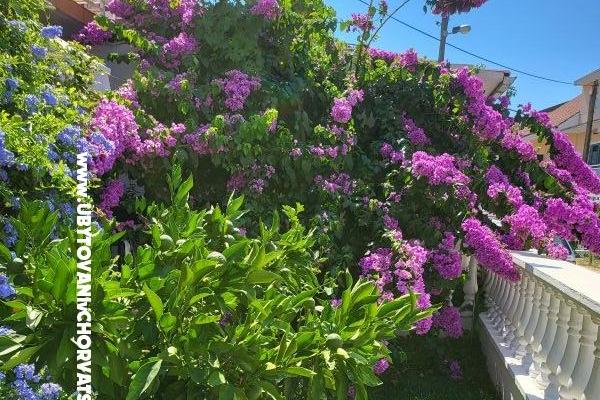 Appartements Rino – foto 36