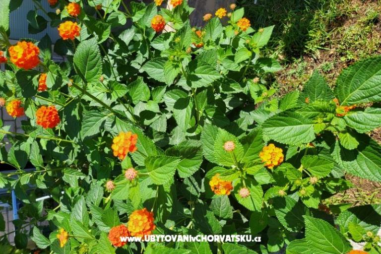 Appartements Rino – foto 38