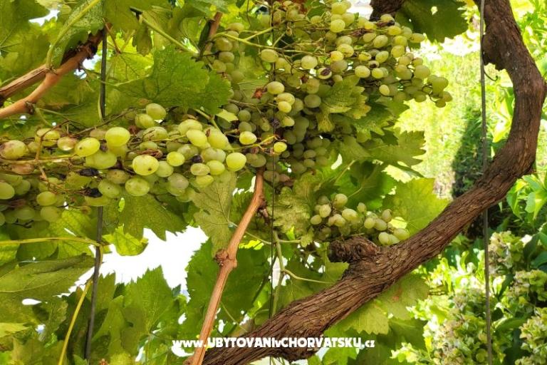 Appartements Rino – foto 39