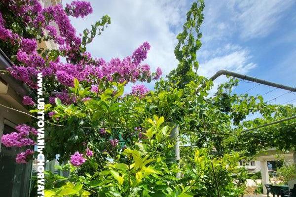 Appartements Vinka – foto 23