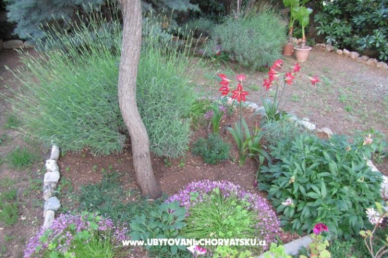 Appartements Zvonimir – foto 11