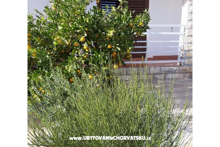 Appartements Vitali – foto 10