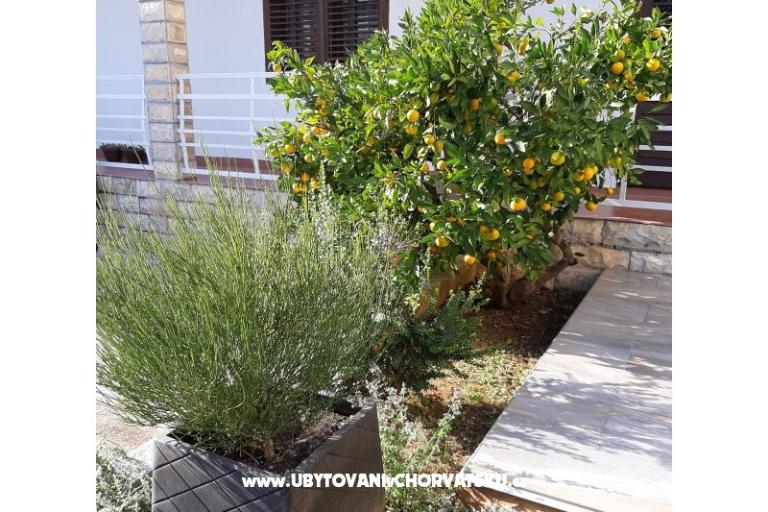 Appartements Vitali – foto 11