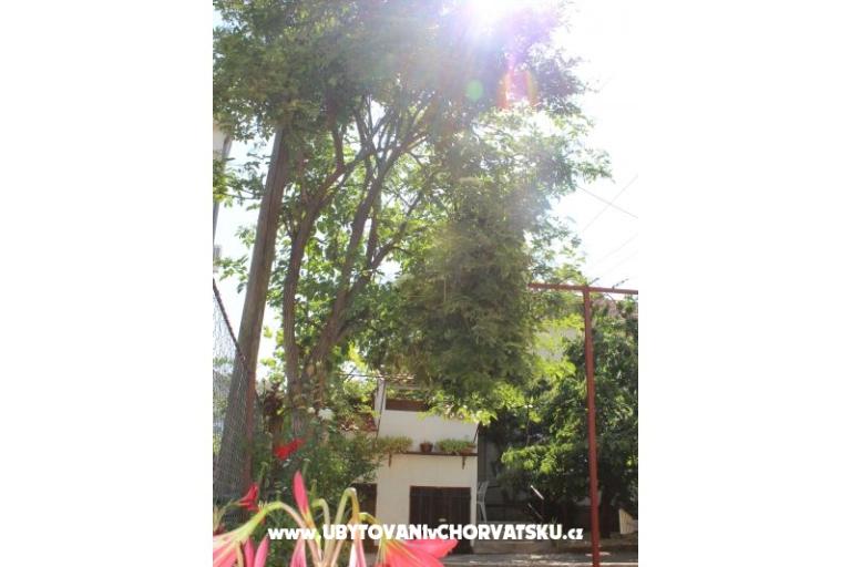 Appartements Vitali – foto 5