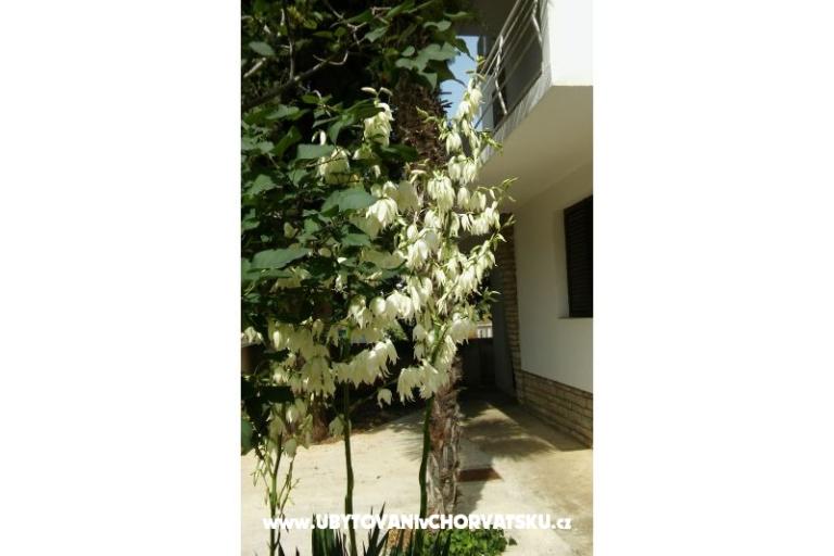 Appartements Vitali – foto 6