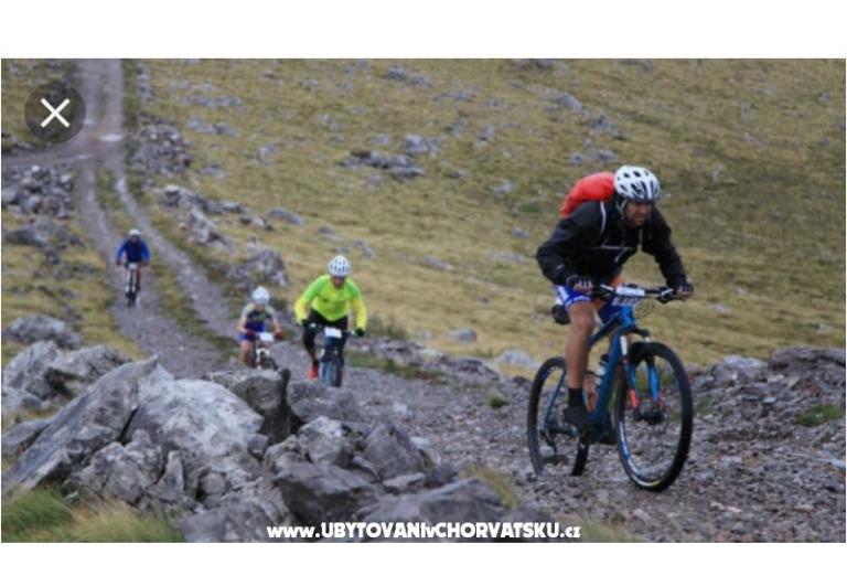 Appartements Ivica i Ljuba Cukrov  – foto 17