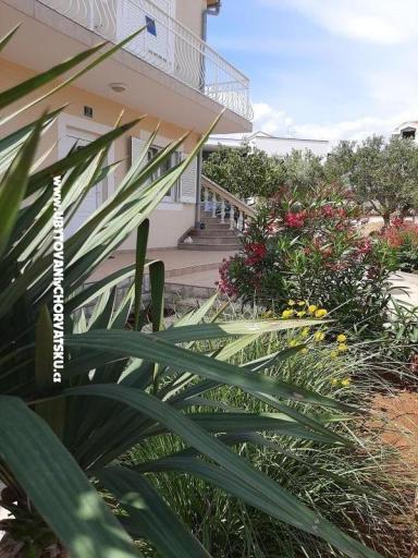 Appartements Duzelovi dvori  – foto 12