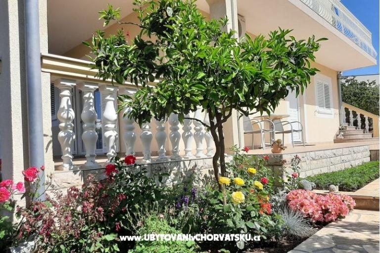 Appartements Duzelovi dvori  – foto 15