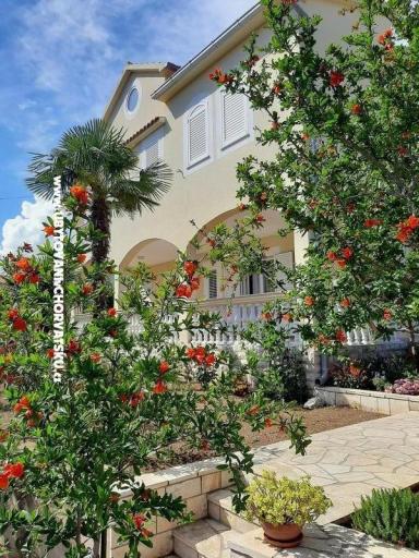 Appartements Duzelovi dvori  – foto 16