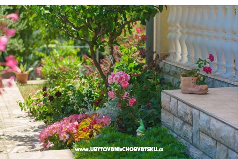 Appartements Duzelovi dvori  – foto 21