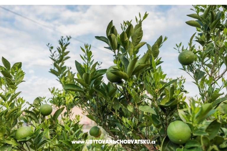 Appartement Lory – foto 12