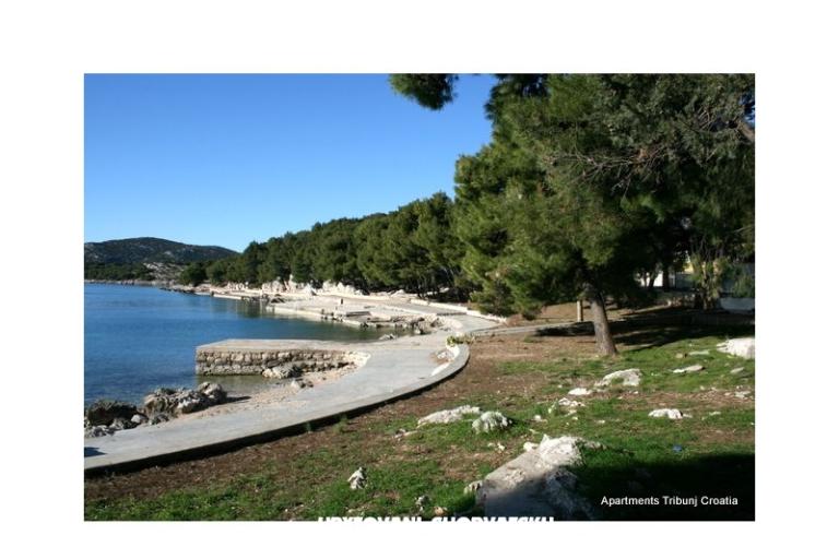 Antonela  – foto 15