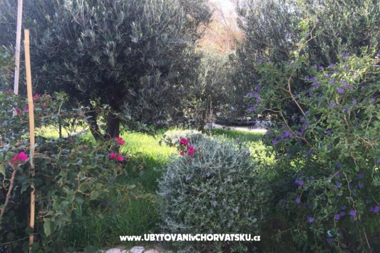 Appartements Villa Tribunj – foto 3