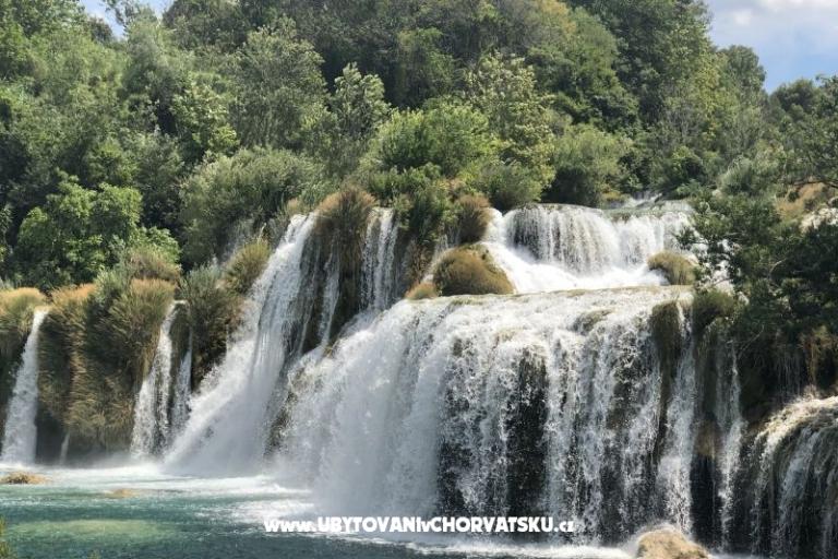 Kiwi Maison – foto 10