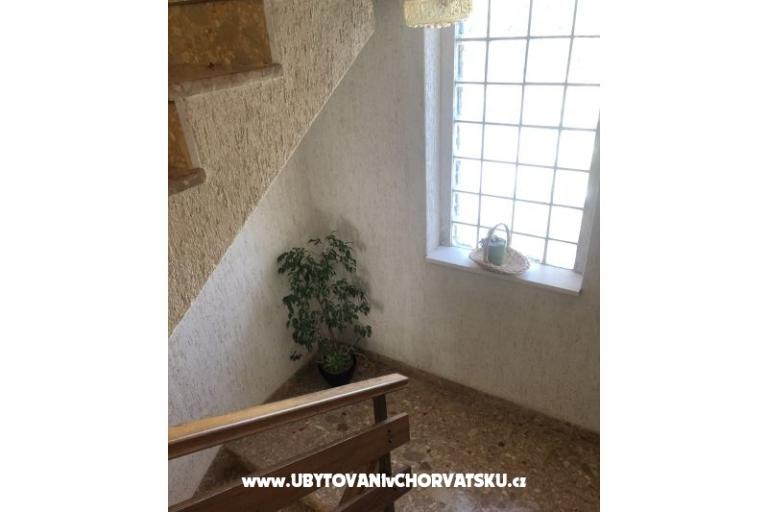 Kiwi Maison – foto 13