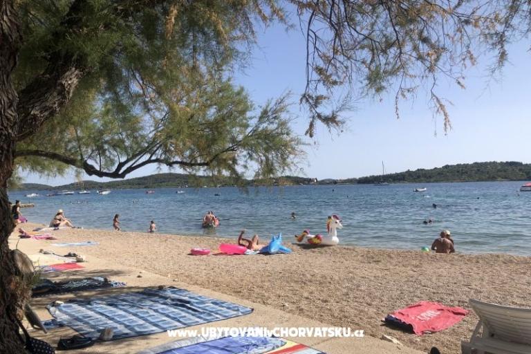 Kiwi Maison – foto 3